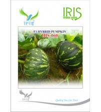 Pumpkin / Kaddoo F1 Iris IHS-060 10 grams